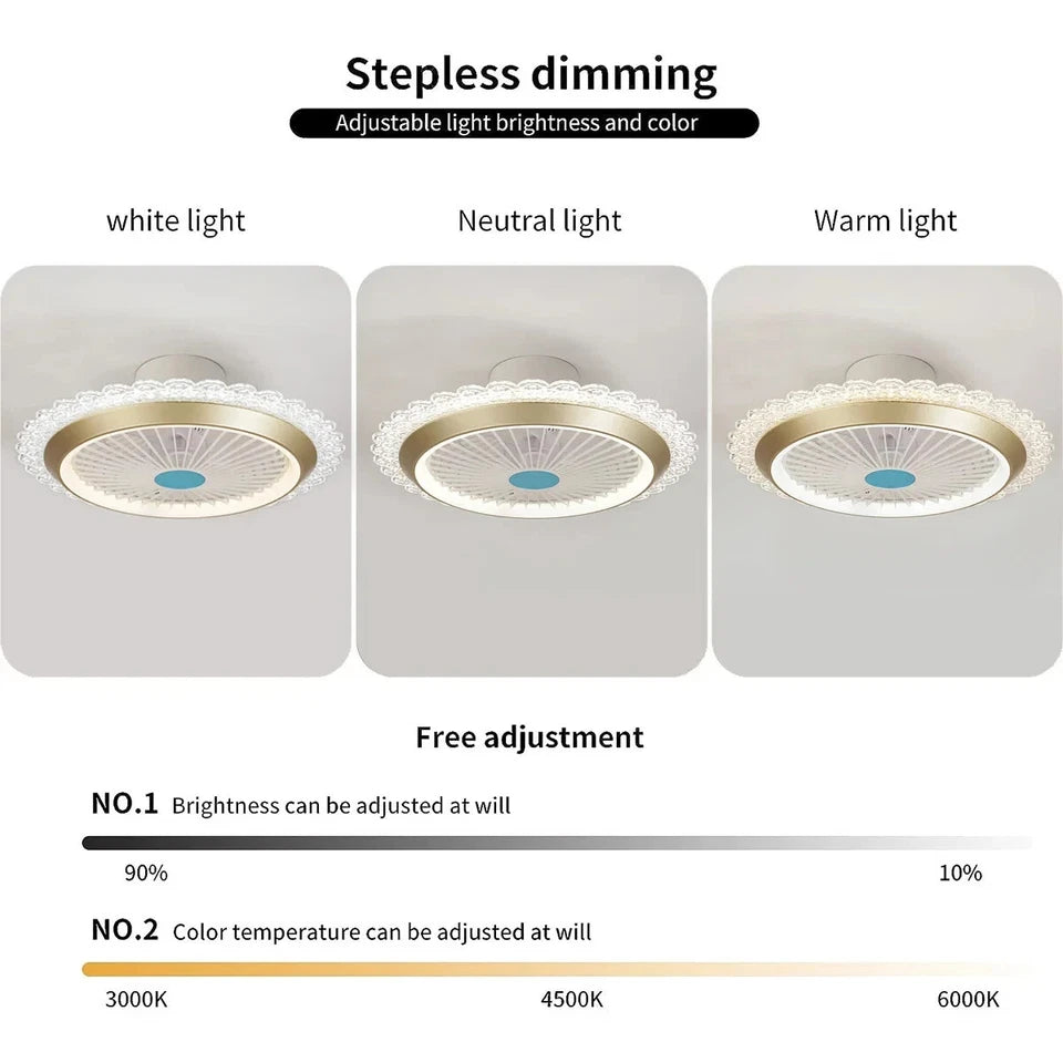 Led Ceiling Fan