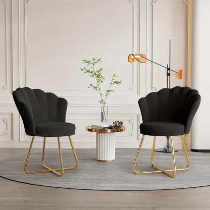 Black Velvet Vanity Chair – Petal Back, Gold Metal Frame, Dressing Table Chair for Bedroom & Makeup Area